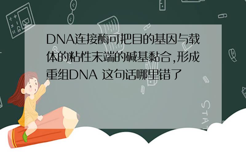 DNA连接酶可把目的基因与载体的粘性末端的碱基黏合,形成重组DNA 这句话哪里错了