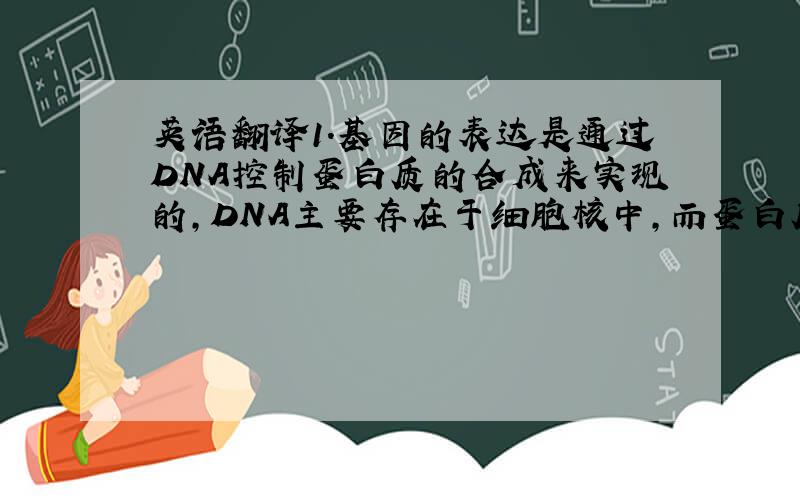 英语翻译1.基因的表达是通过DNA控制蛋白质的合成来实现的,DNA主要存在于细胞核中,而蛋白质的合成是在细胞质中进行的,DNA所携带的遗传信息需要通过RNA作为媒介传递到细胞质中去.2.RNA 和 DNA