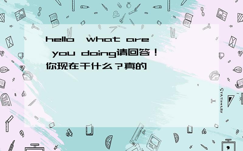 hello,what are you doing请回答！你现在干什么？真的