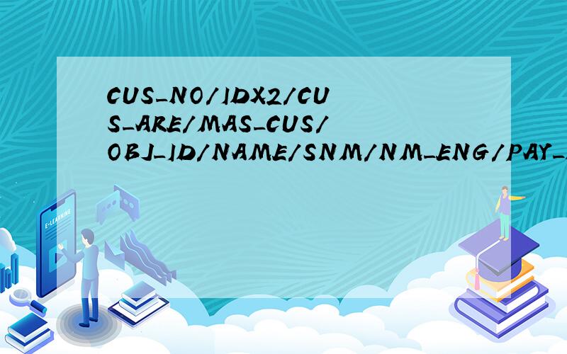 CUS_NO/IDX2/CUS_ARE/MAS_CUS/OBJ_ID/NAME/SNM/NM_ENG/PAY_DD/CLS_MTH/CLS_DD/MM_END/CHK_DD/UNI_NO/BOS_NM这些简称是啥意思?
