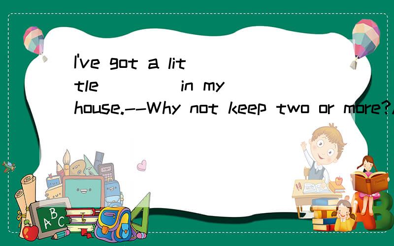 I've got a little____ in my house.--Why not keep two or more?A.juice B.mice C.bread D.fish
