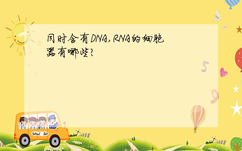 同时含有DNA,RNA的细胞器有哪些?