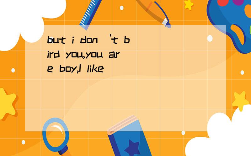 but i don\'t bird you,you are boy,I like