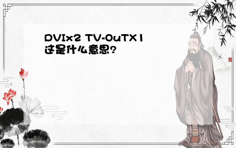 DVIx2 TV-OuTX1这是什么意思?