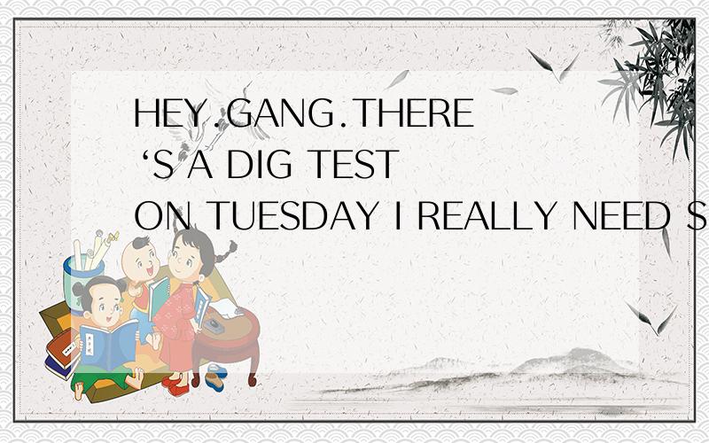 HEY.GANG.THERE‘S A DIG TEST ON TUESDAY I REALLY NEED SOME HELP CAN YOU TELL ME HOW YOU STUDY