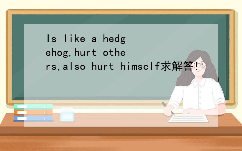 Is like a hedgehog,hurt others,also hurt himself求解答!