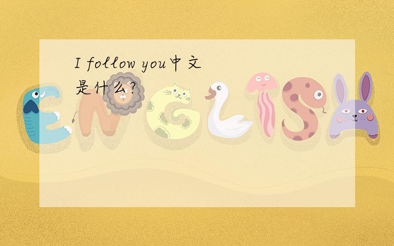 I follow you中文是什么?