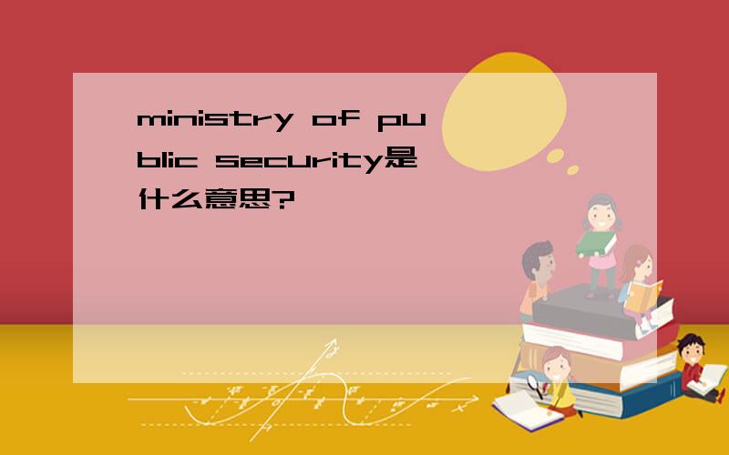 ministry of public security是什么意思?