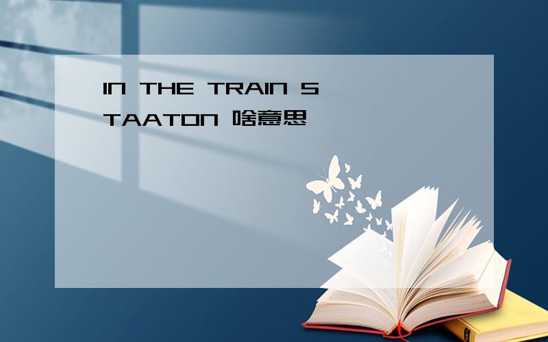 IN THE TRAIN STAATON 啥意思